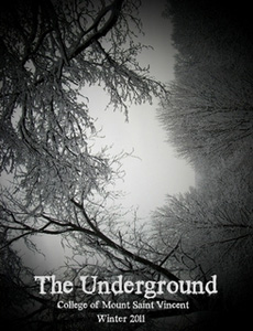 the_underground_cover_winter_2011_crop