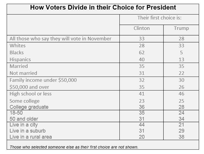 Graphic titled: "How voters divide in their choice for President"