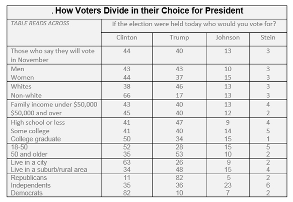 Graphic titled: "How voters divide in their choice for President?"
