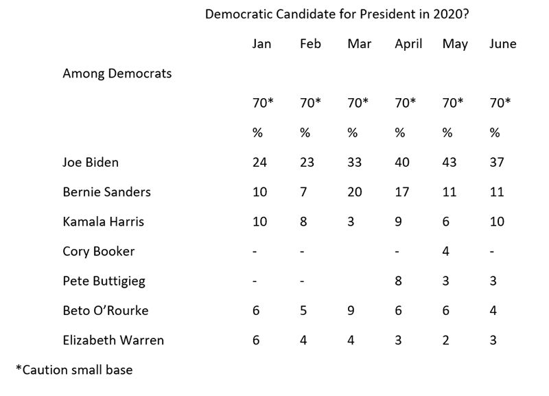 Graphic titled: "Democratic Candidate for President in 2020?"
