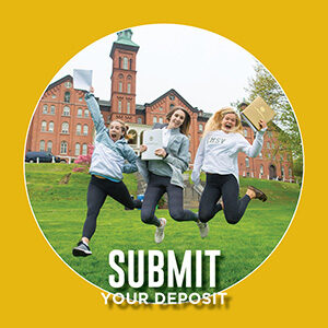 Button saying "Submit Your Deposit"