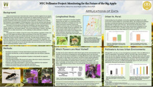 NYC Pollinator Poster