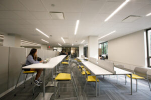 Student learning in the library. 