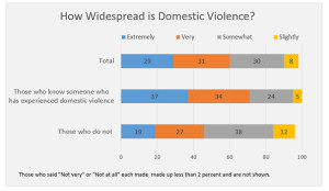 Graphic titled: "How Widespread is domestic violence?"