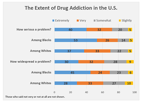 The Extent of Drug Addiction in the US 