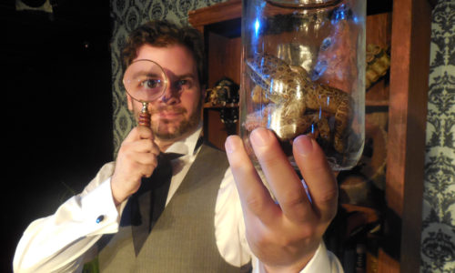 Red Monkey Theater Group Presents <i>Sherlock Homes: The Final Problem</i>