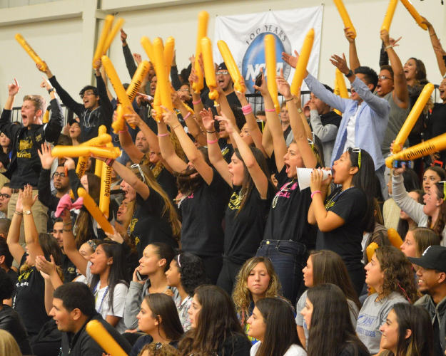 Group of students cheering in the gym. 