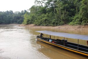 The Amazon River