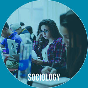 Button saying "Sociology"