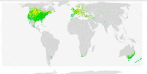 World Map