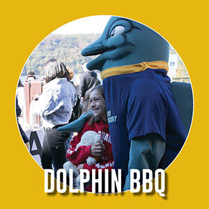 Button saying "Dolphin BBQ"