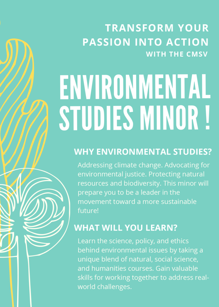 Flyer highlighting why to minor in environmental studies.